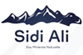 Sidi Ali